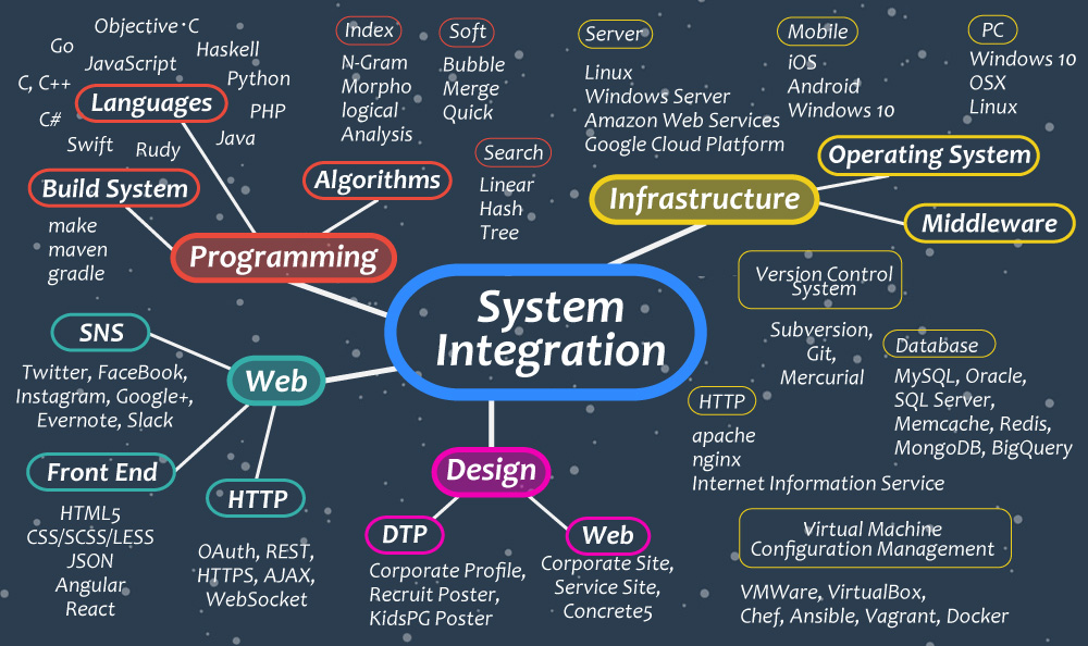 Sistem integuration